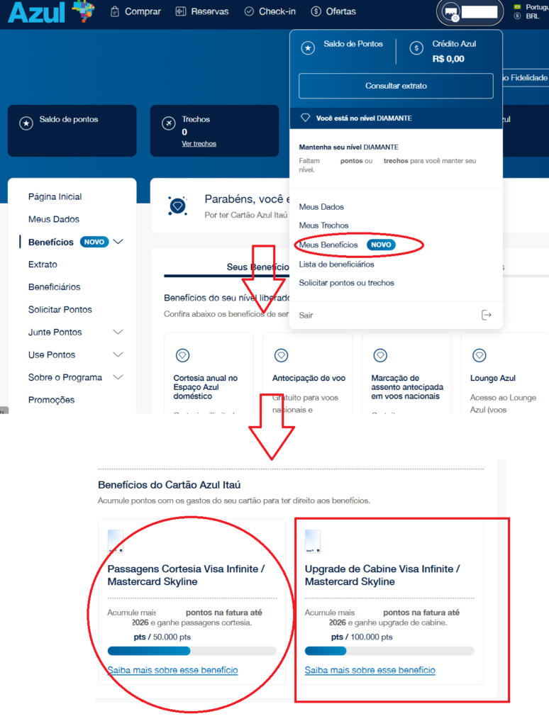 companion-pass-acompanhando-774x1024 COMPANION PASS AZUL: Como Viajar com Acompanhante + Executiva com pontos ou dinheiro! Guia Completo 2026 Cartões e Bancos Milhas e Emissões