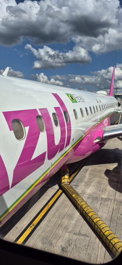 aviao-rosa-473x1024 Como é voar no Embraer 195 da Azul e Espaço Extra: guia Viagem Black com comparativo entre modelos e rotas Destaque Viagem e Destinos