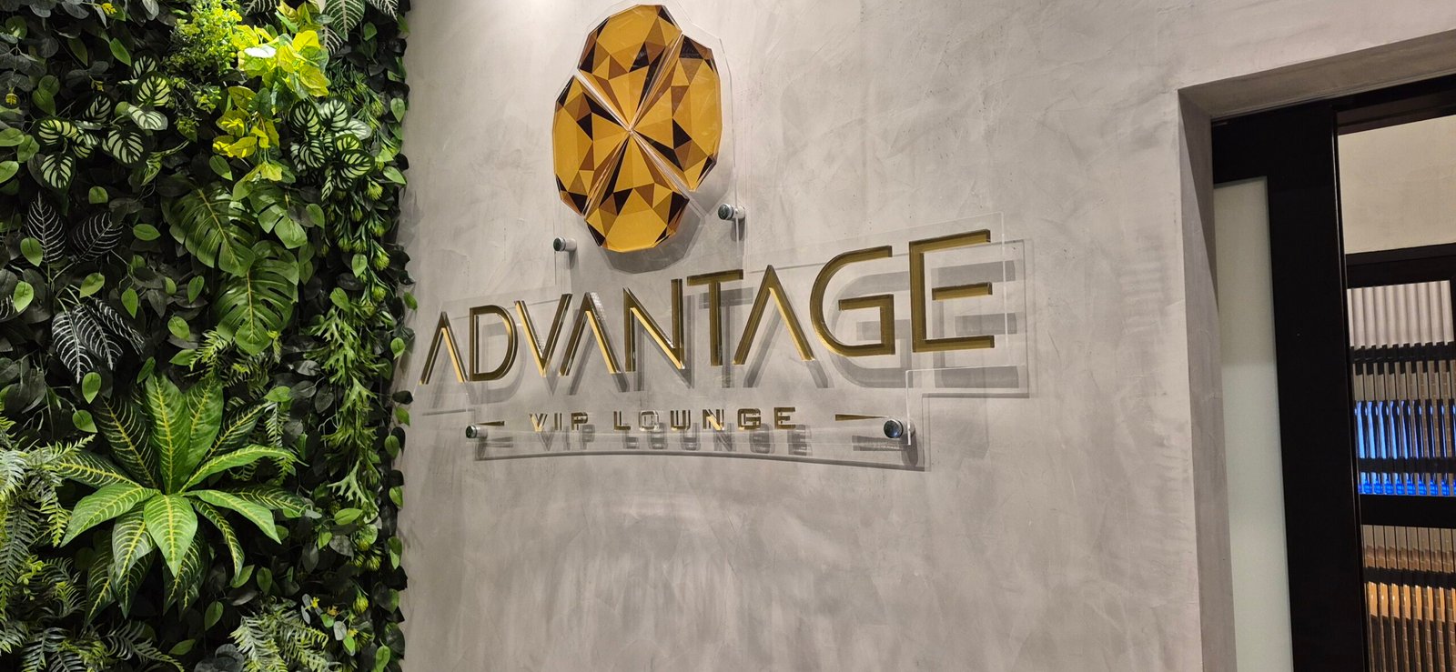 ADVANTAGE VIRACOPOS LADO AR